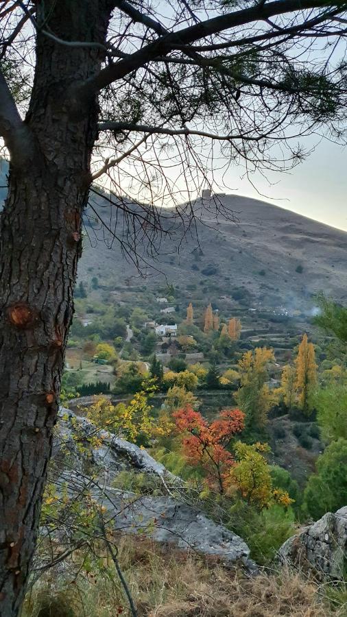 Alojamiento Rural Fuente De La Glorieta Cazorla Bagian luar foto